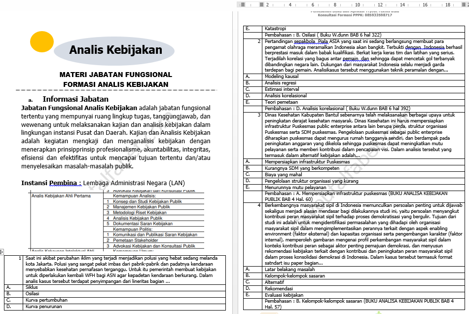 Analis Kebijakan